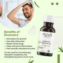 Load image into Gallery viewer, Organic Rosemary Oil for Hair Growth - Pure Rosemary Oil 30ml - Use for Hair Skin and Nails - Rosemary Essential Oils for Diffusers